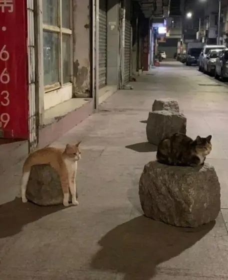 Post 5NCOplSy