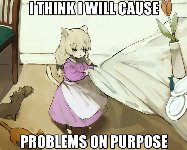 Image "IMG_9114.png"