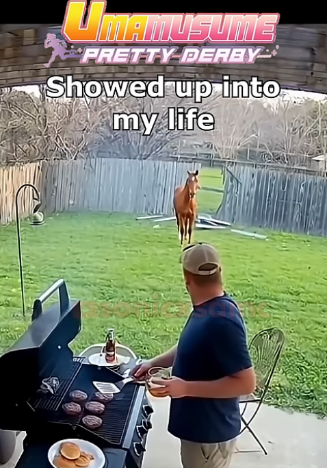 Image "IMG_2281.png"