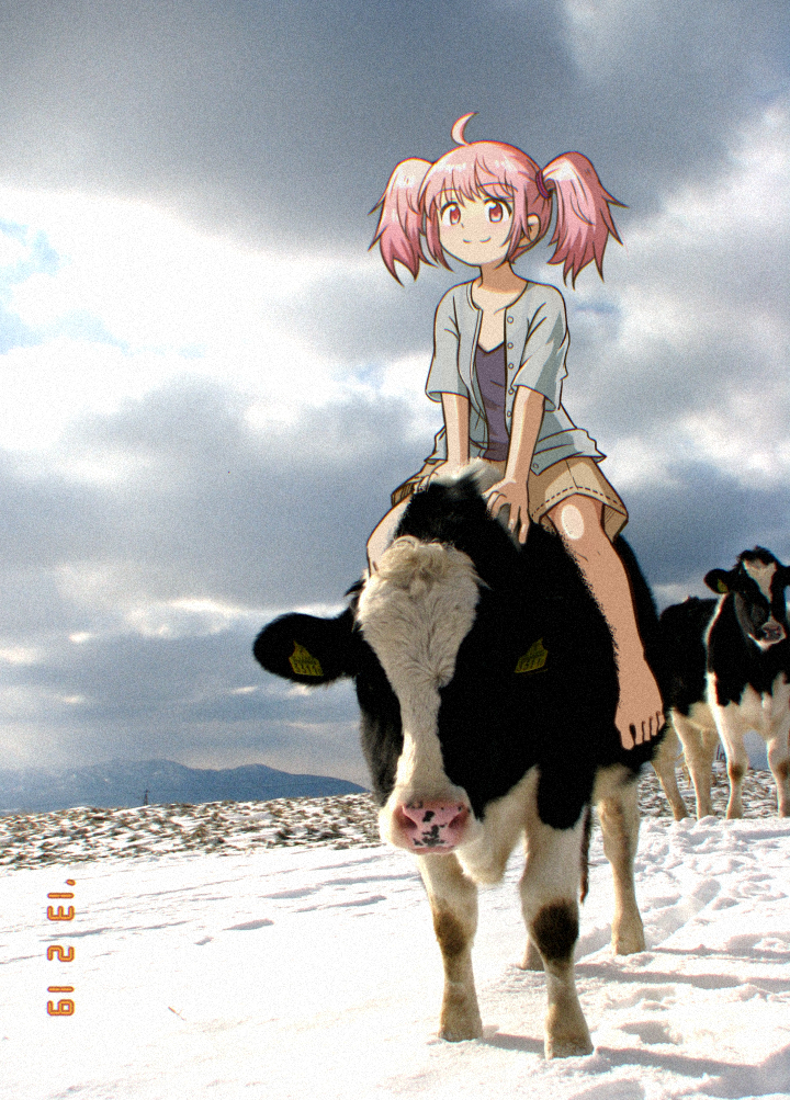 Image "16848db082cde2f6e796e2edef0b9dc3be3fe668.jpg"