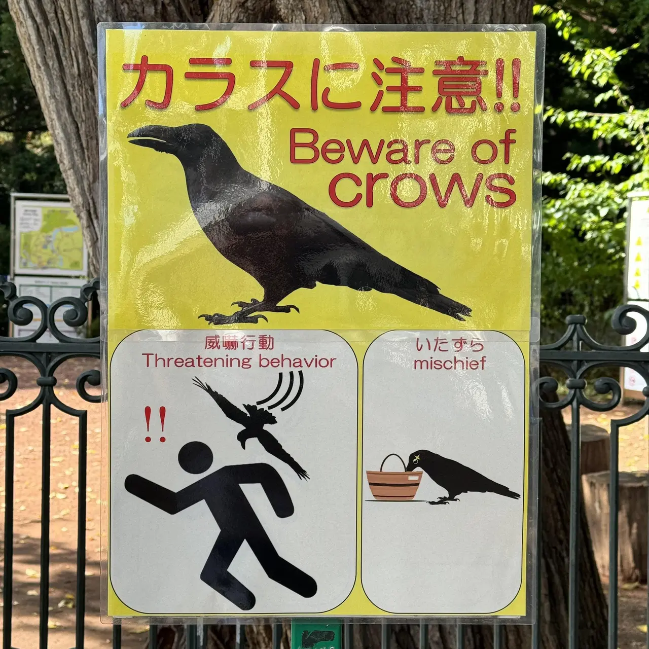 Post glKvQKBQ