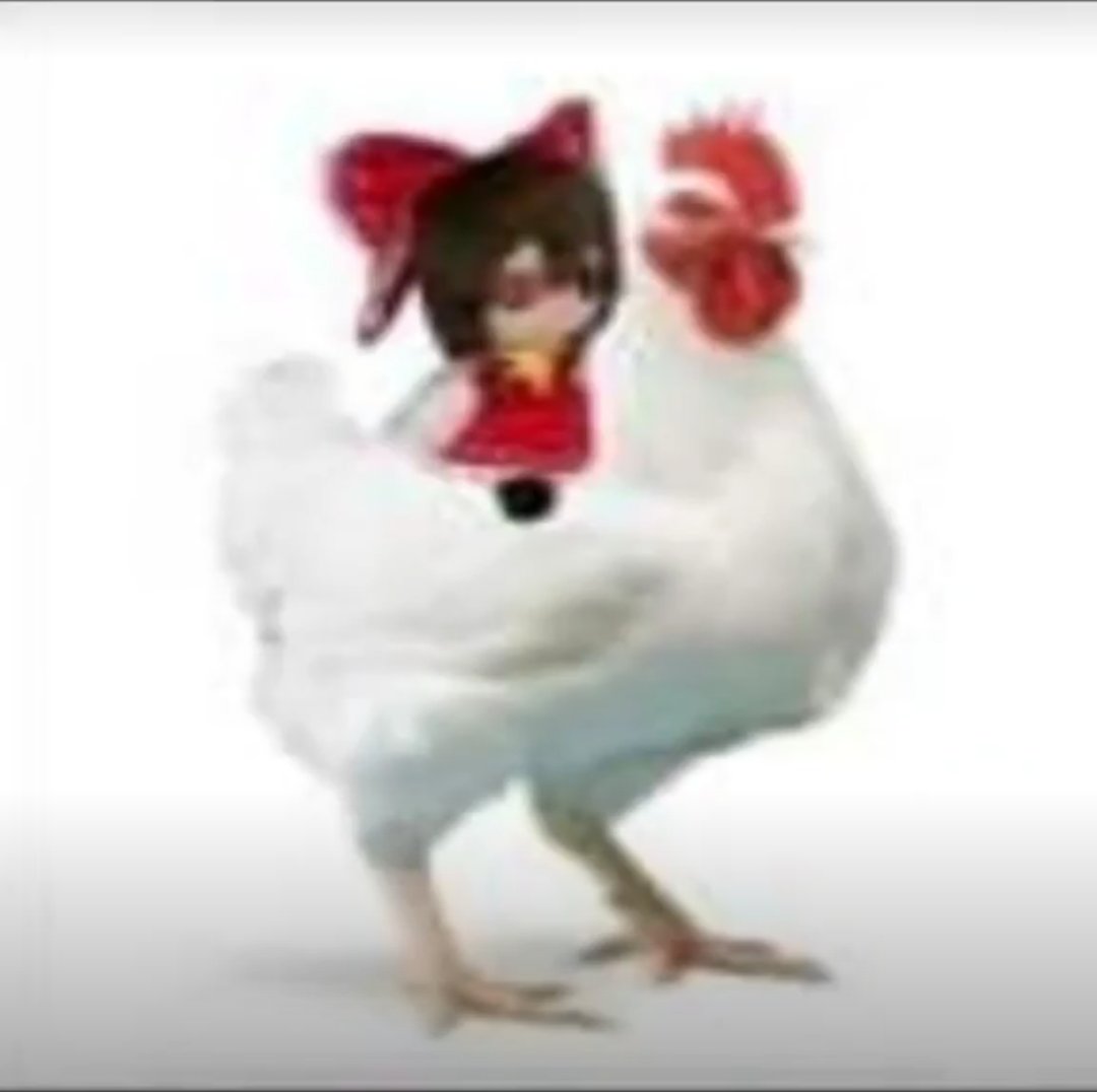 Image "G8Qfw_BXIAQtezM.jpeg"